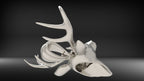 Buck Head Pendant | 999 Fine Silver 32mm | Handmade USA