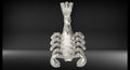 Scorpion Pendant | 999 Fine Silver 24mm | Handmade USA